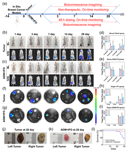 图形用户界面 AI-generated content may be incorrect.