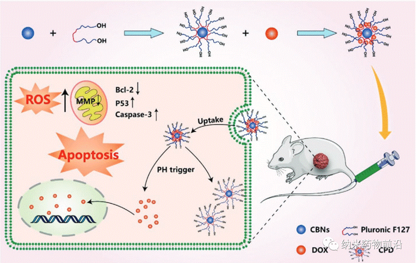 微信图片_20220628192412