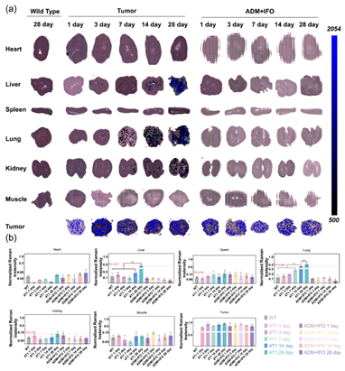 图示 AI-generated content may be incorrect.