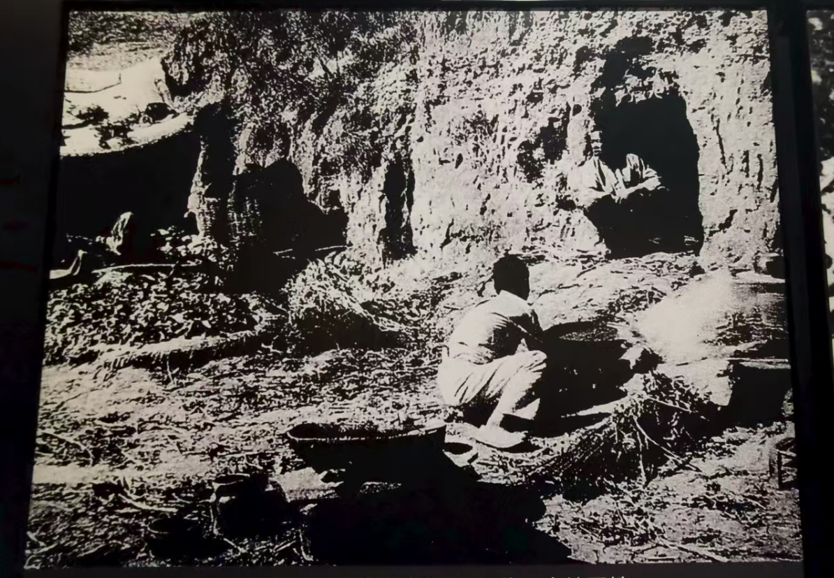 无家可归的东北百姓被迫到深山中居住，过着“野人”般的生活